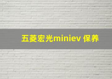 五菱宏光miniev 保养